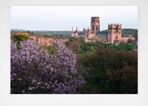 Durham Cherry Tree Card - newcastlegifts Durham Cherry Tree Card, Spring photograph of Durham Cathedral from Wharton Park, Durham Gift Product, Durham Cathedral Souvenir, North East Gift, Durham photograph