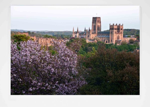 Durham Cherry Tree Card, Spring photograph of Durham Cathedral from Wharton Park, Durham Gift Product, Durham Cathedral Souvenir, North East Gift, Durham photograph