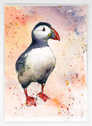 Greeting Card Puffin Watercolour