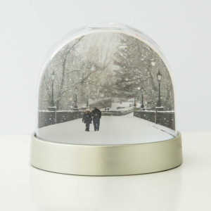Snow Globe Newcastle Armstrong Bridge