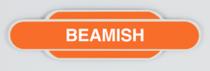 Beamish Railway Station Totem Magnet, Metal Fridge Magnet in the shape of a British Railways Station Totem Sign, British Railway, LNER, Railway souvenir, Railway gift product, Railway enthusiast, Steam Train, Golden Age of Steam, Diesel Trains